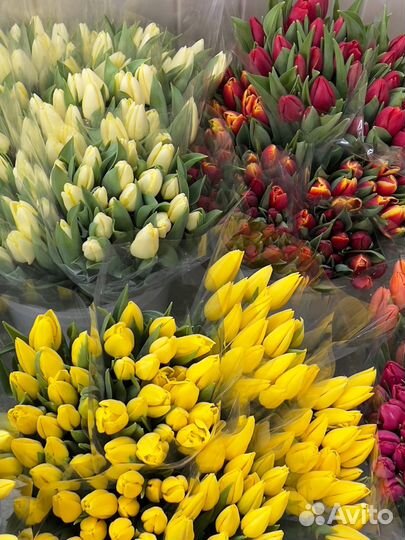 Тюльпаны к 8 марта опт/розница/организации
