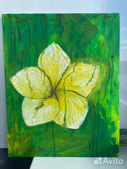 Картина Пленительная магнолия