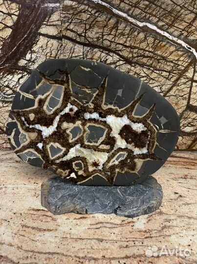 Септарий. Коллекционный образец