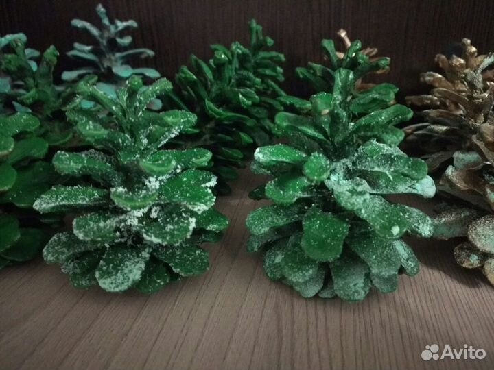 Шишки сосновые