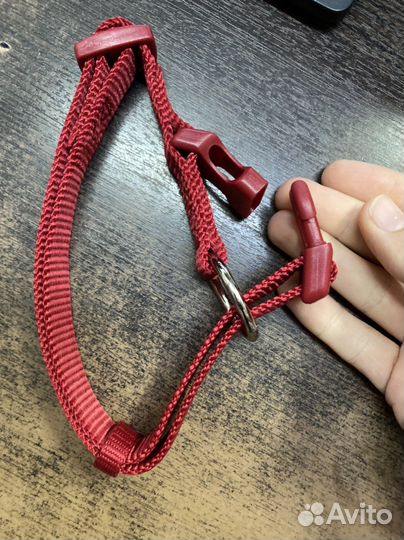 Ошейник и поводок trixie