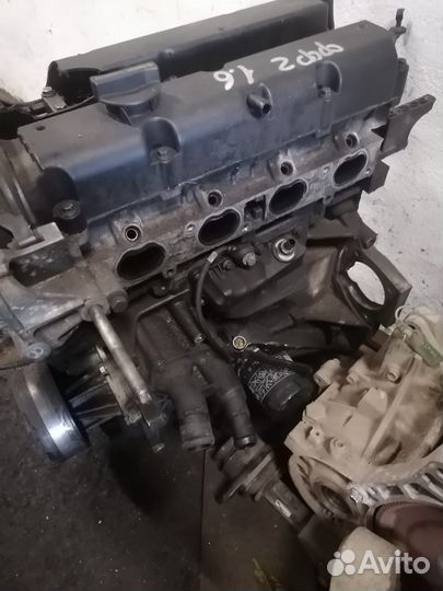 Двигатель форд фокус 2 1,6 shda