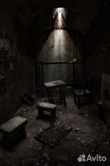 Ищем инвестора для создания перфоманса