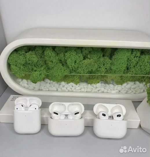 AirPods 2 / 3 / Pro