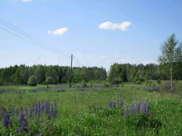 Участок 4 га (СНТ, ДНП)