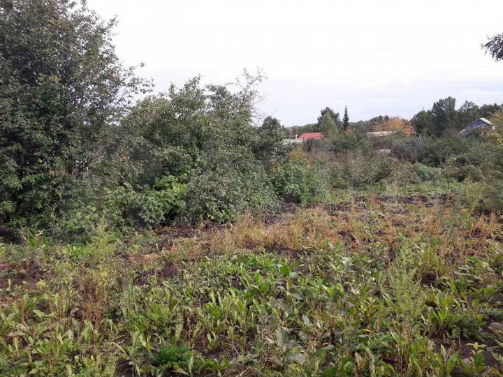 Участок 5,6 сот. (СНТ, ДНП)