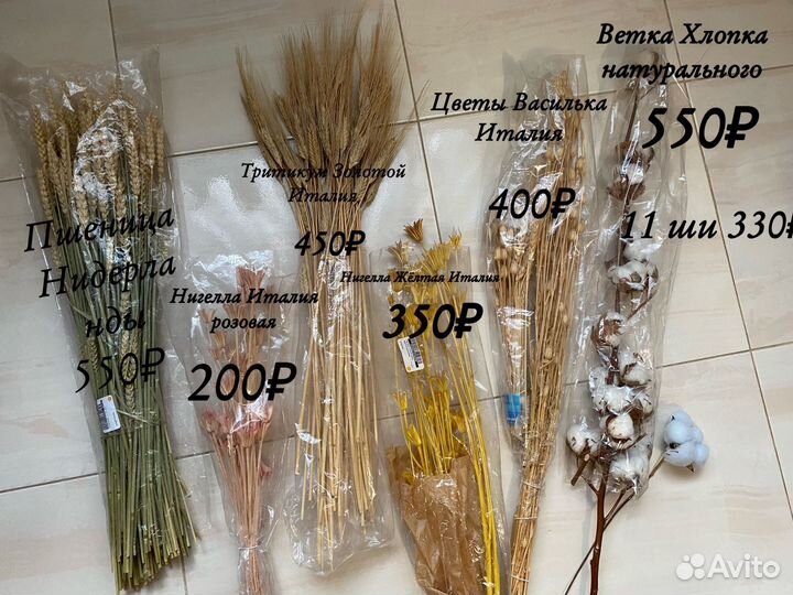 Сухоцветы, хлопок, лагурус