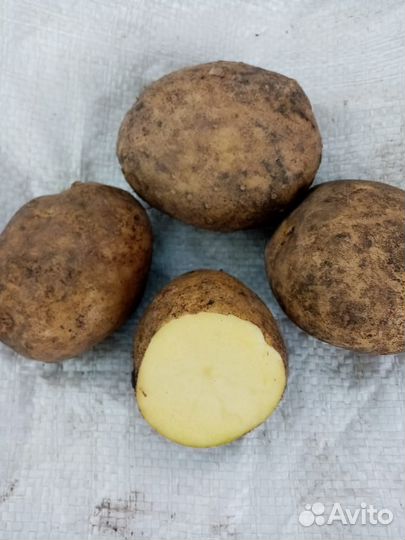 Продам картофель с доставкой