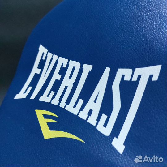 Боксерские лапы Everlast Blue