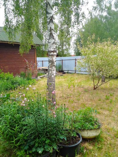 Дача 64 м² на участке 10,5 сот.