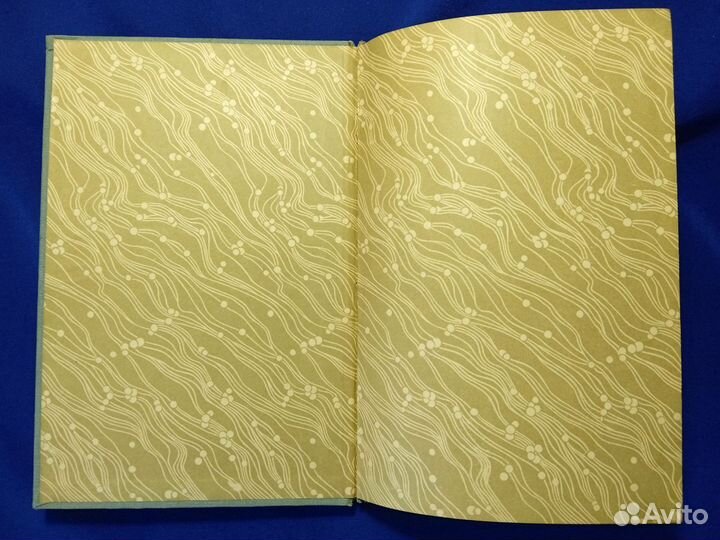 Я.П. полонский 