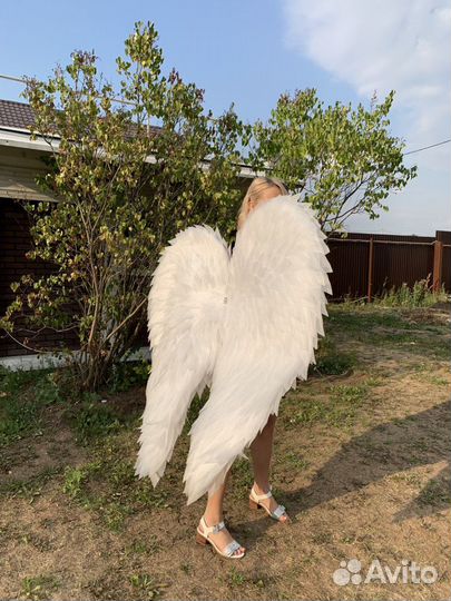 Крылья ангела