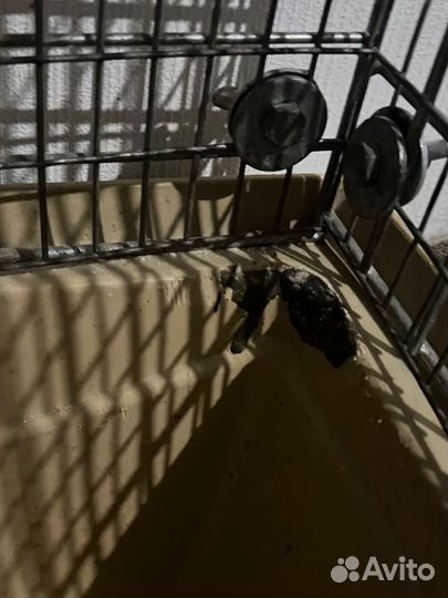 Клетка для грызунов большая бу