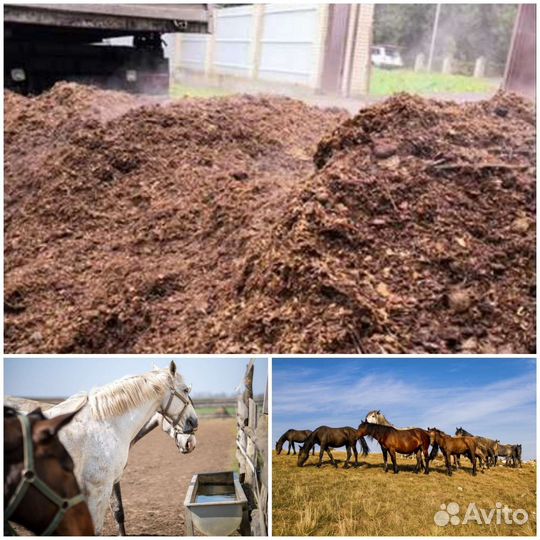 Конский навоз, перегной