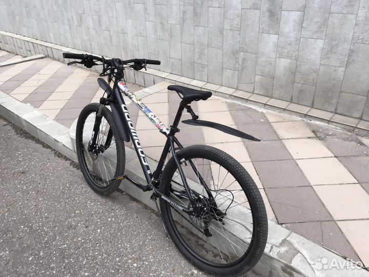 Forward sporting 27.5