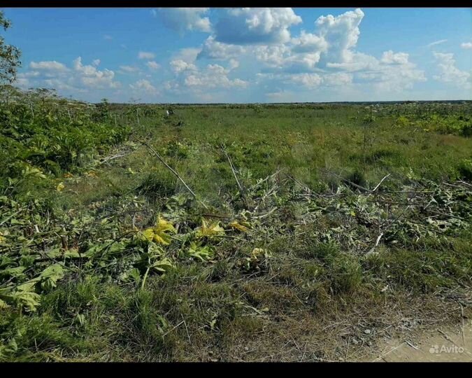 Участок 10 сот. (СНТ, ДНП)