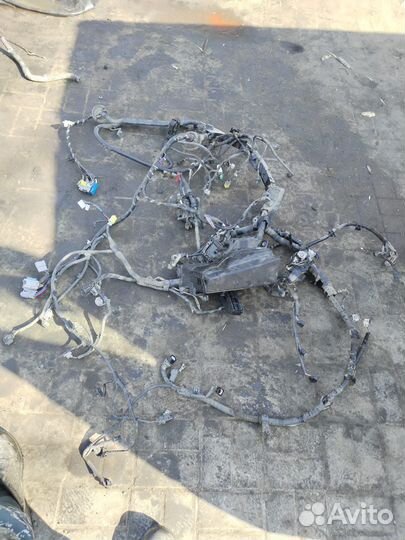 Камри 2.0 проводка в сборе сблоком и эбу