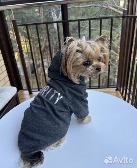 Кофта для собаки или кошечки