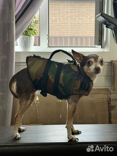 Спас жилет фирма 