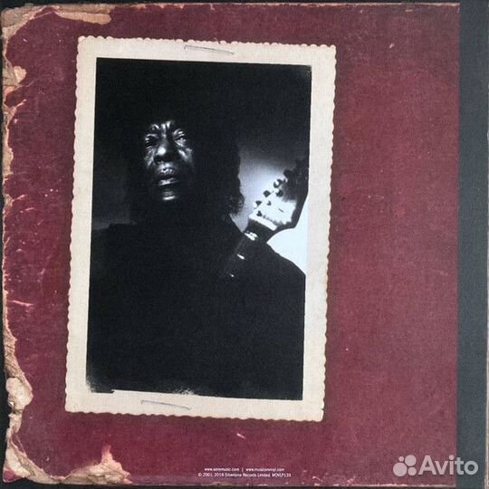 Виниловая пластинка Buddy Guy — sweat TEA (2LP)