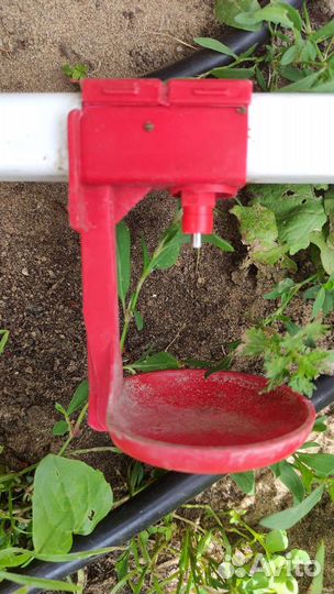 Клетка большая, поилки с капельницами