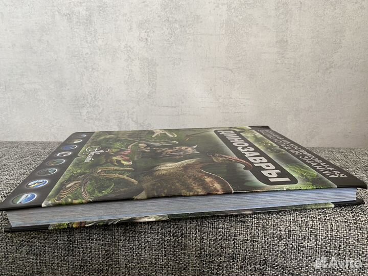 Детская Энциклопедия: Астрономия. Динозавры