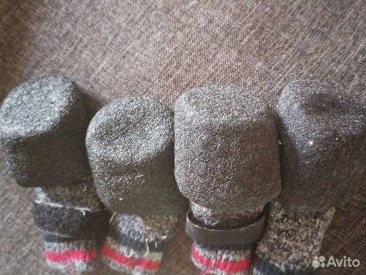 Обувь для собак цена за обе