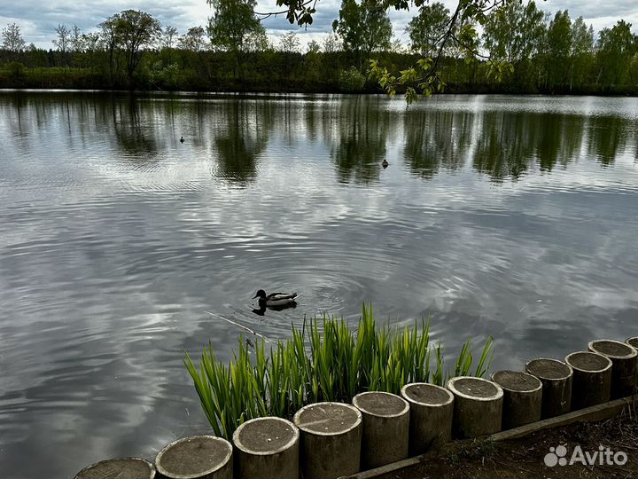 Коробка книг