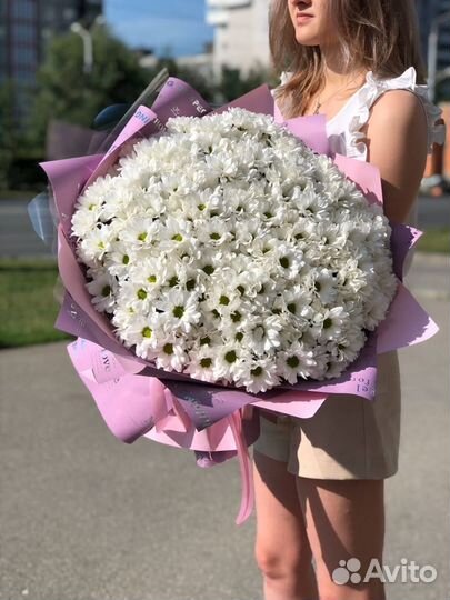 Ромашки хризантемы цветы розы букеты