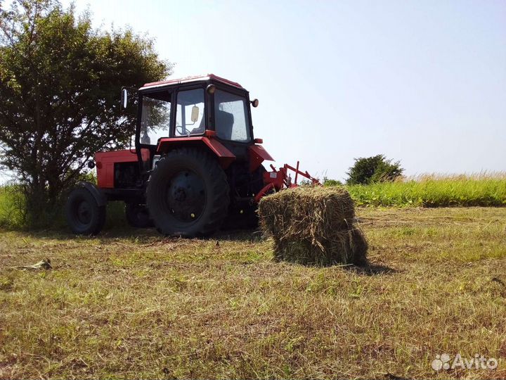 Сено Солома Ячменная продажа