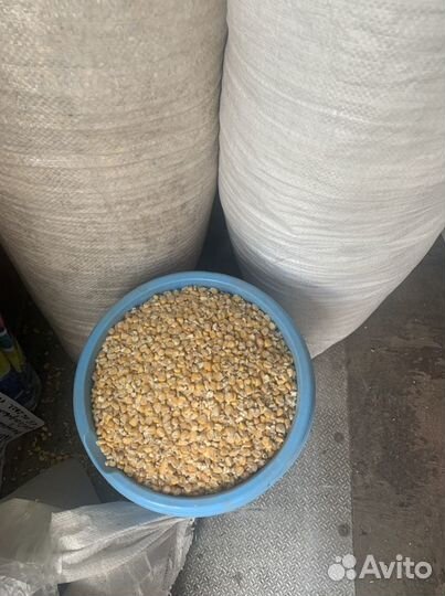 Для рыбалки