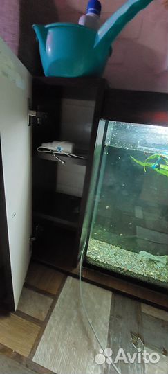 Аквариум