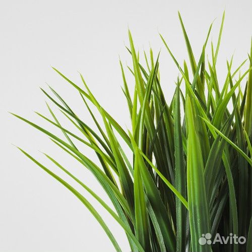 Fejka Растение в горшке 9 см. 004.339.42 искусстве