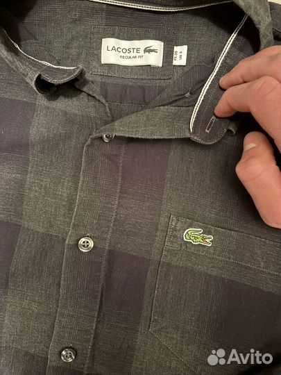 Рубашка мужская lacoste