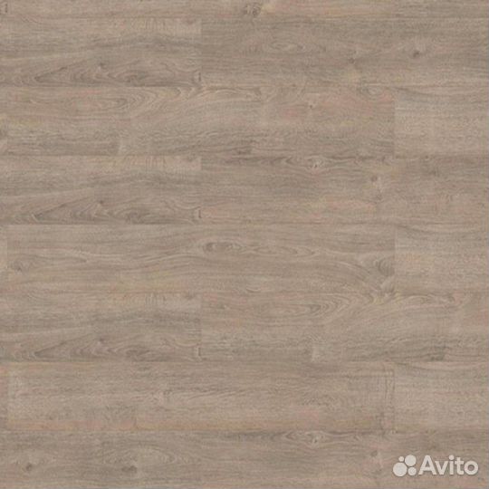 30010 Дуб Кассано гриджио, планка 32 класс