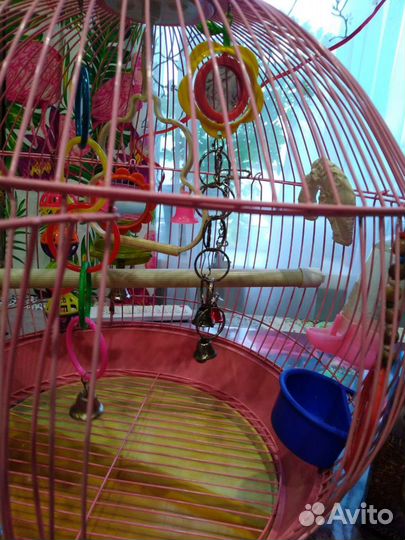Клетка для попугая бу