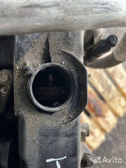 Двигатель на авто Ford Focus 2.0 Aoda/C307