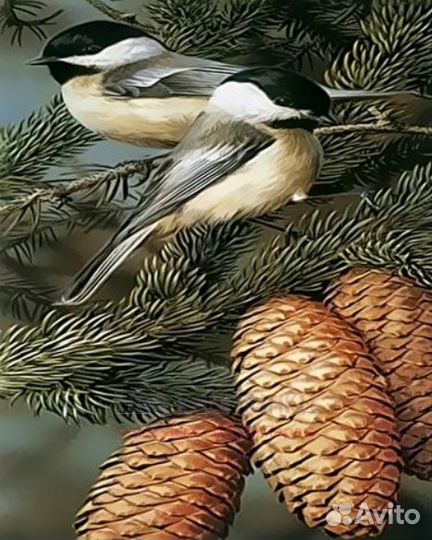 Картина по номерам 40x50 Синички на ветке с шишкам