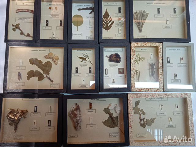 Пособия по биологии, зоологии СССР