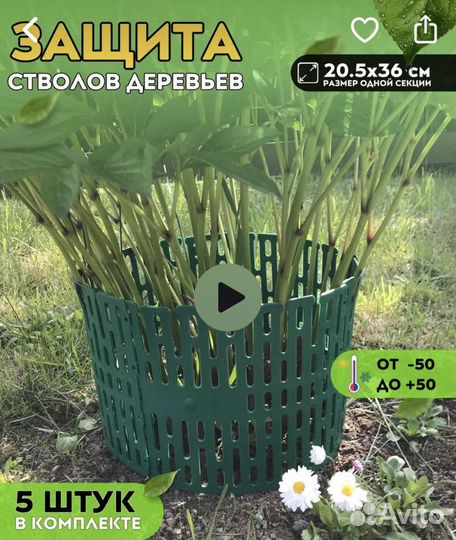 Кустодержатель