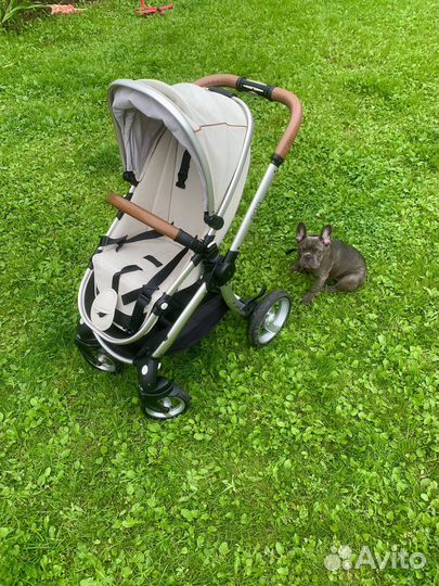 Коляска egg 2 в 1