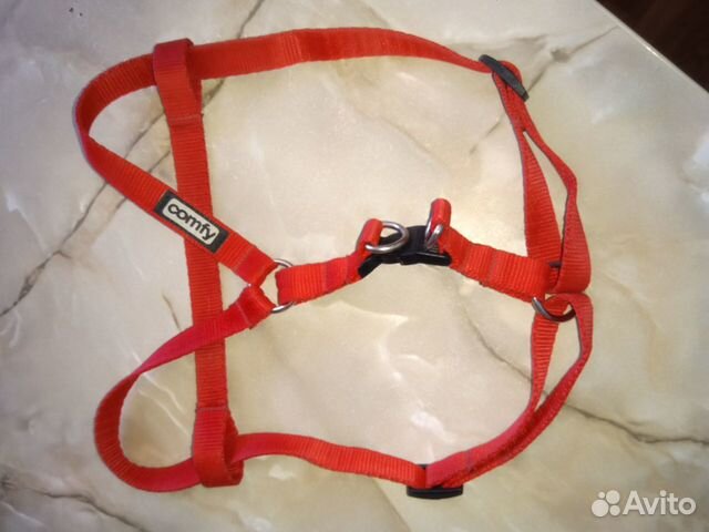 Шлейка для собаки