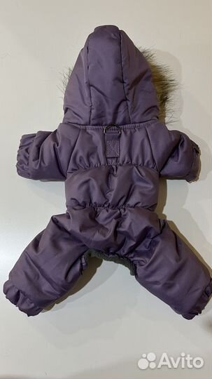 Комбинезон для маленькой собаки