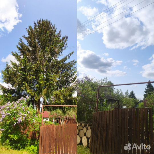 Расчистка участков под ключ
