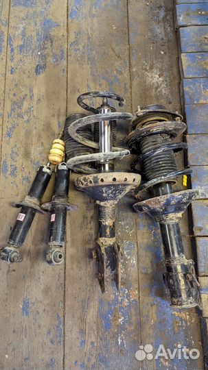 Амморты grb, gvb, va, levorg