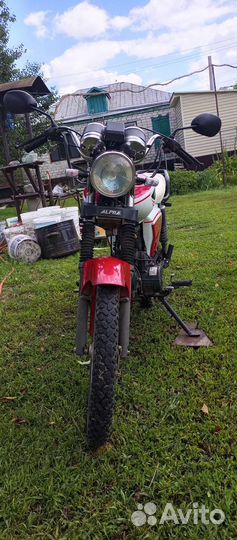 Alpha RX 125 см