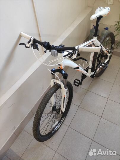 Mongoose Expert
