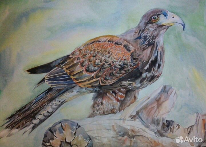 Репетитор по рисованию