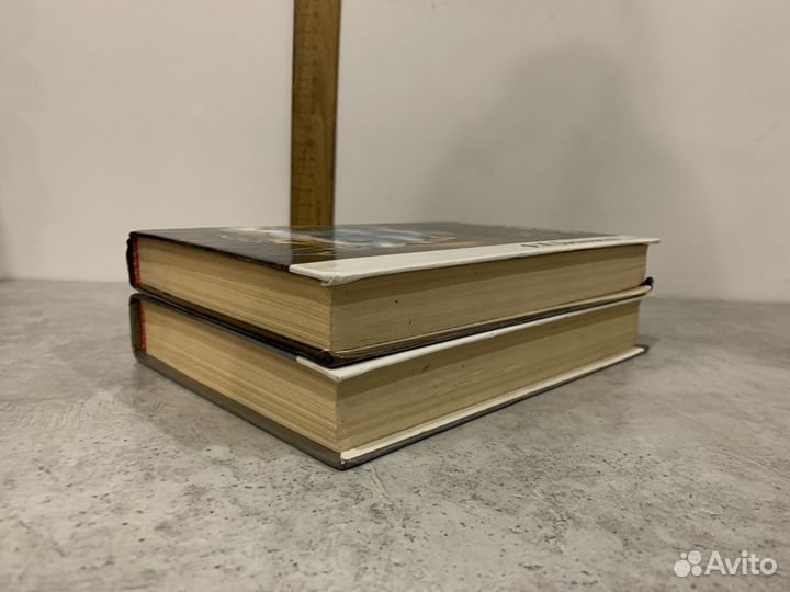 Достоевский Ф.М. Братья Карамазовы. Роман в 2 тома