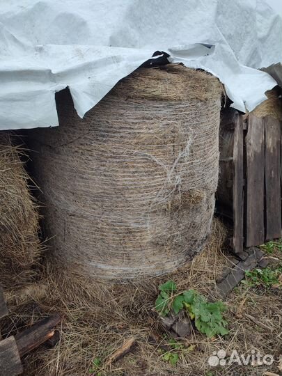 Сено в тюках